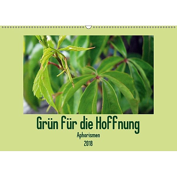 Grün für die Hoffnung - Aphorismen (Wandkalender 2018 DIN A2 quer), Linda Schilling und Michael Wlotzka