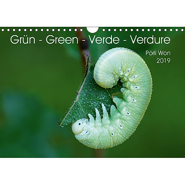 Grün - Green - Verde - Verdure (Wandkalender 2019 DIN A4 quer), Pörli Won