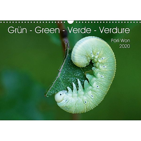 Grün - Green - Verde - Verdure (Wandkalender 2020 DIN A3 quer), Pörli Won