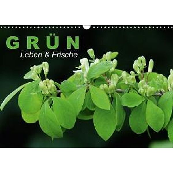 Grün Leben & Frische (Wandkalender 2015 DIN A3 quer), Elisabeth Stanzer