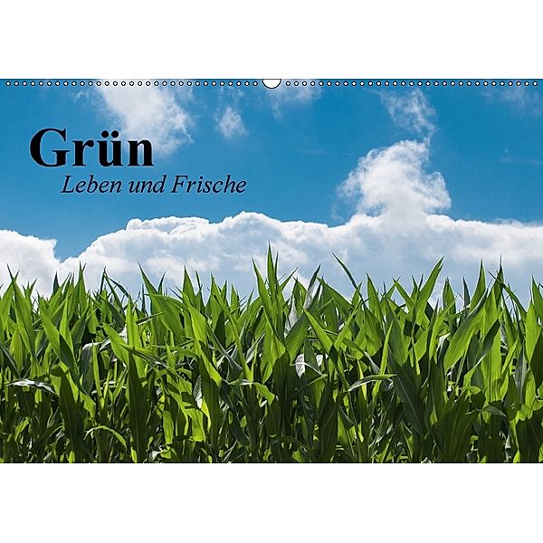 Grün. Leben und Frische (Wandkalender 2018 DIN A2 quer), Elisabeth Stanzer