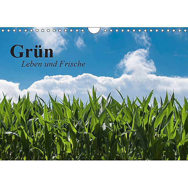 Grün. Leben und Frische (Wandkalender 2019 DIN A4 quer), Elisabeth Stanzer