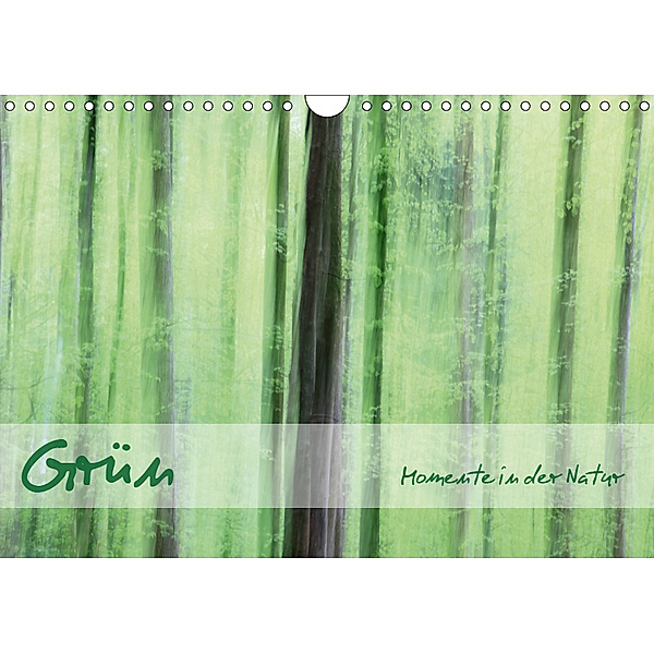 Grün - Momente in der Natur (Wandkalender 2019 DIN A4 quer), Marcel Schäfer
