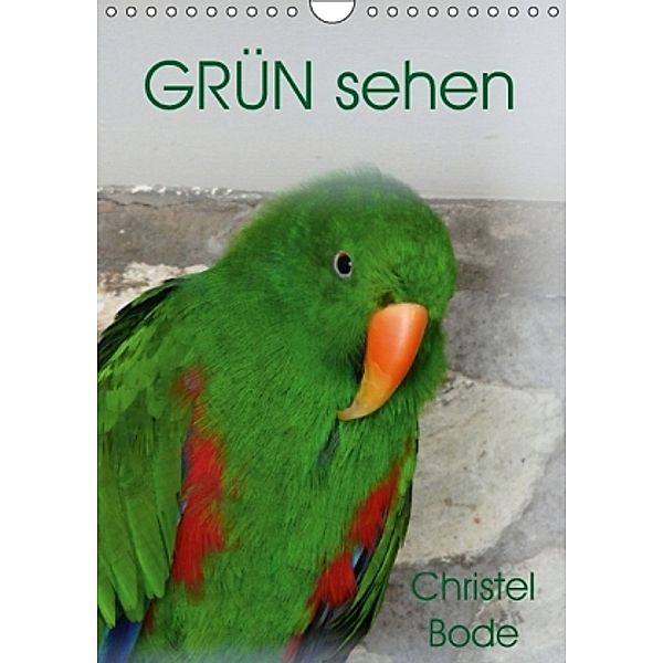 GRÜN sehen (Wandkalender 2016 DIN A4 hoch), Christel Bode