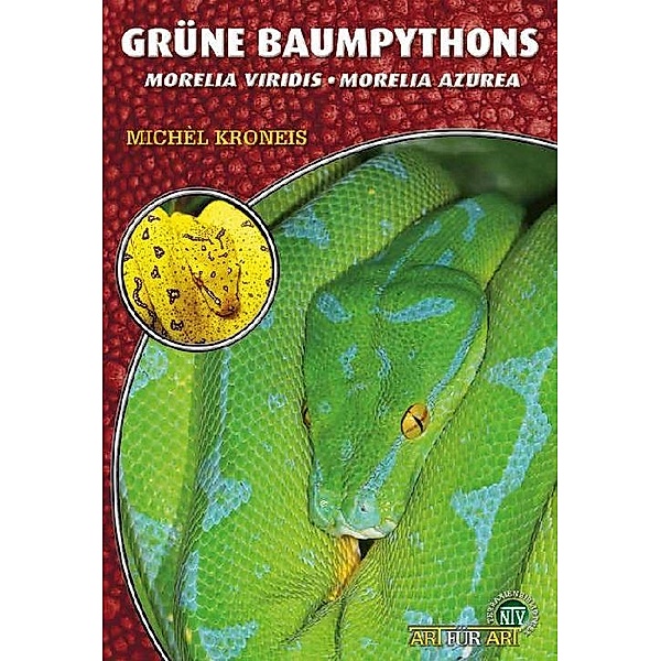Grüne Baumpythons, Michèl Kroneis