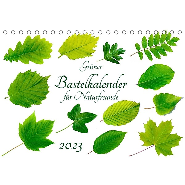 Grüner Bastelkalender für Naturfreunde (Tischkalender 2023 DIN A5 quer), Carola Vahldiek