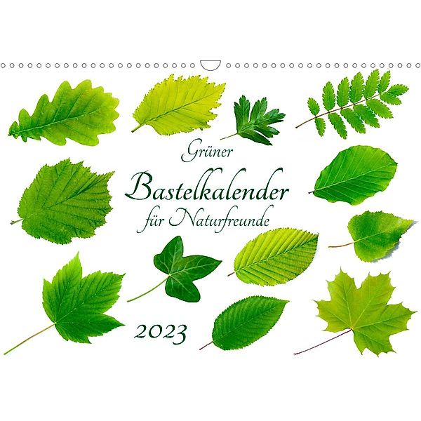 Grüner Bastelkalender für Naturfreunde (Wandkalender 2023 DIN A3 quer), Carola Vahldiek