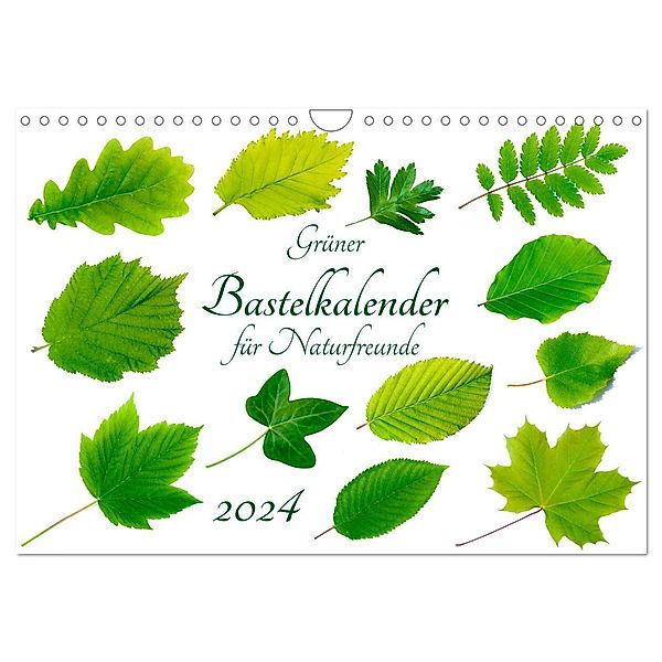 Grüner Bastelkalender für Naturfreunde (Wandkalender 2024 DIN A4 quer), CALVENDO Monatskalender, Carola Vahldiek