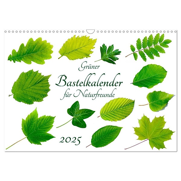 Grüner Bastelkalender für Naturfreunde (Wandkalender 2025 DIN A3 quer), CALVENDO Monatskalender, Calvendo, Carola Vahldiek