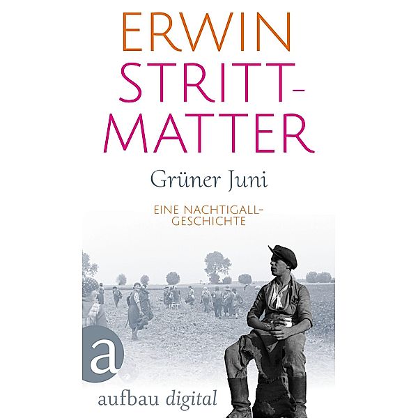 Grüner Juni / Aufbau Taschenbücher Bd.5433, Erwin Strittmatter