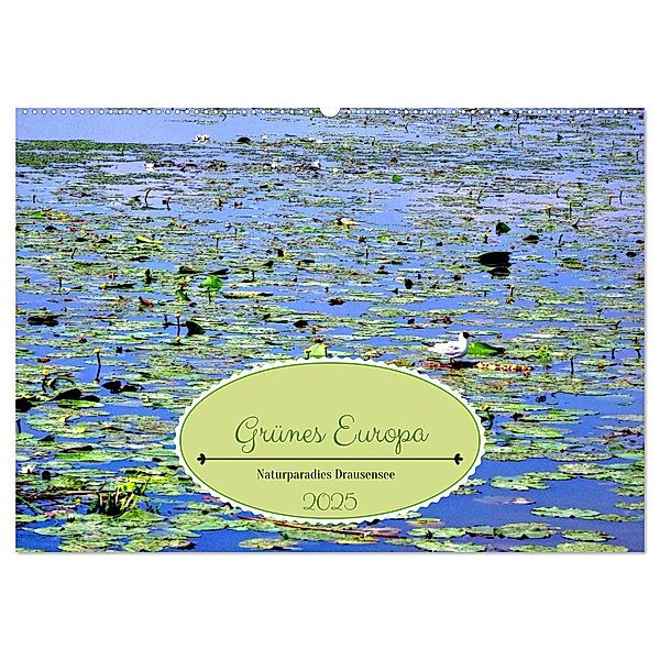 Grünes Europa - Naturparadies Drausensee (Wandkalender 2025 DIN A2 quer), CALVENDO Monatskalender, Calvendo, Henning von Löwis of Menar