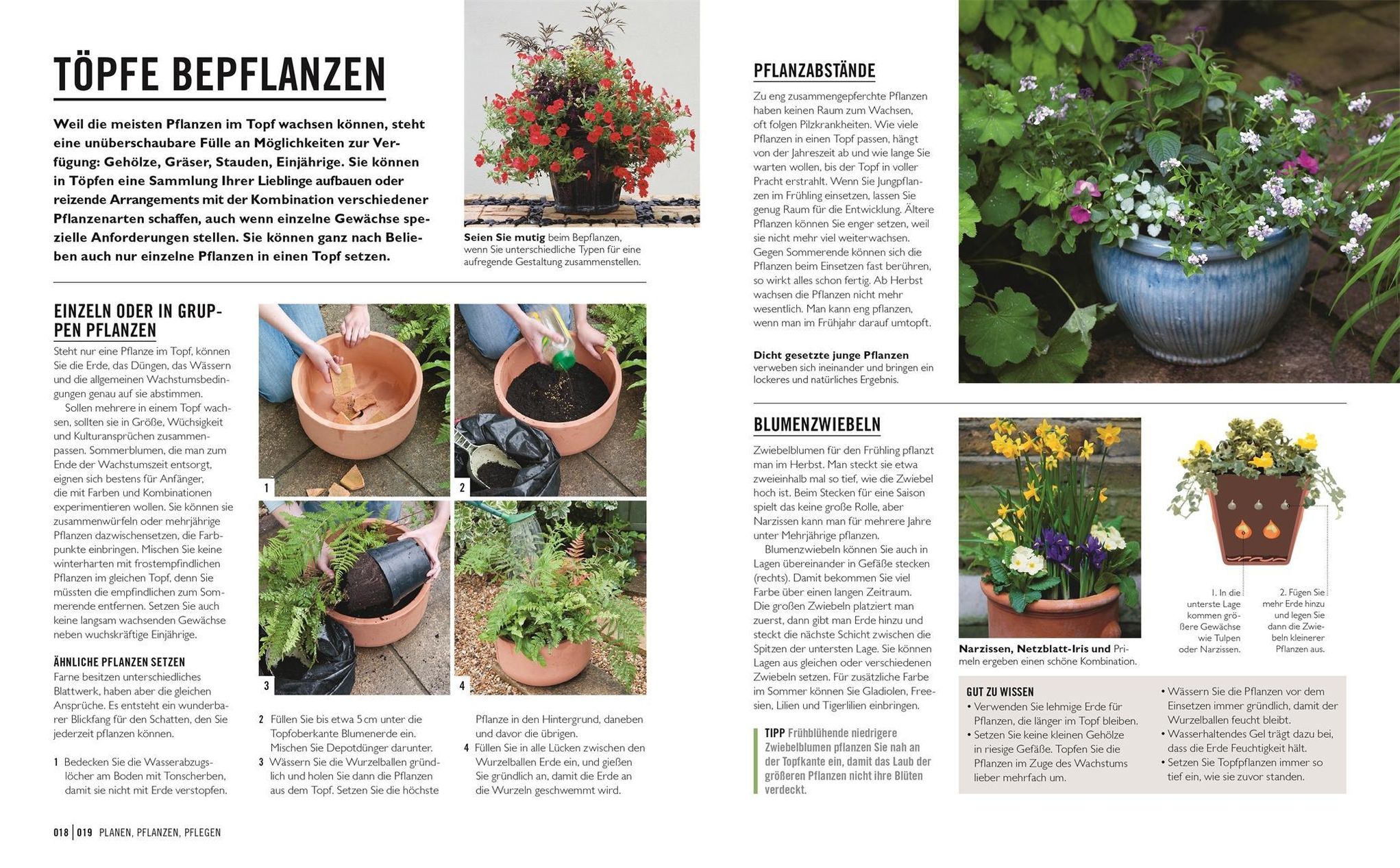 Grünes Gartenwissen. Pflanzen im Topf Buch versandkostenfrei - Weltbild.de