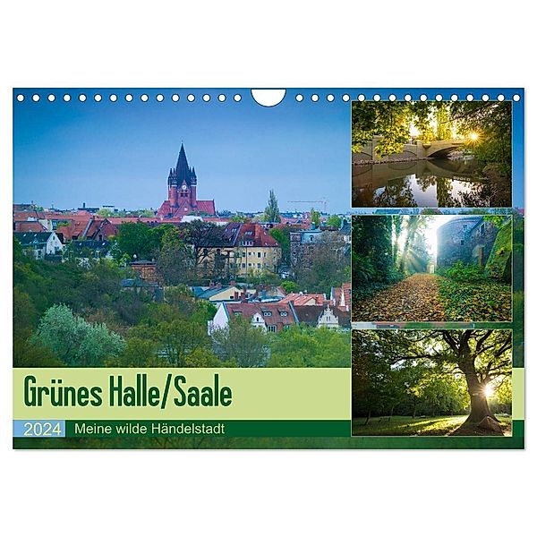 Grünes Halle/Saale - Meine wilde Händelstadt (Wandkalender 2024 DIN A4 quer), CALVENDO Monatskalender, Martin Wasilewski