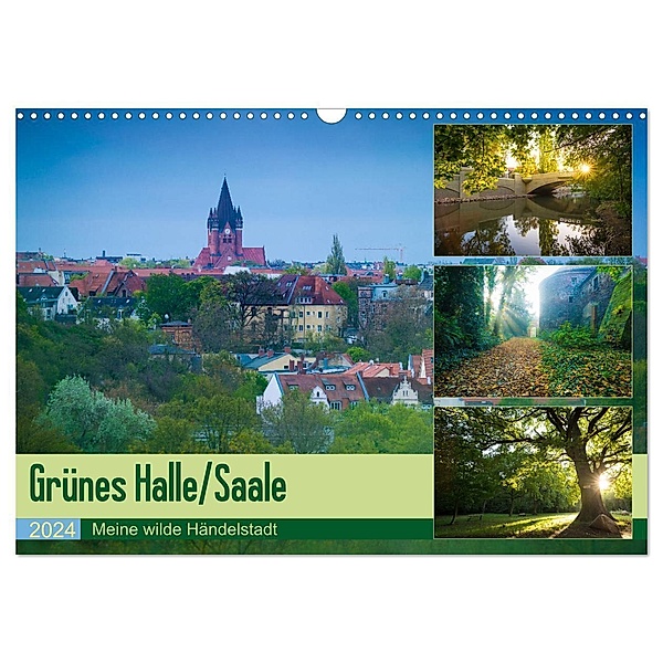 Grünes Halle/Saale - Meine wilde Händelstadt (Wandkalender 2024 DIN A3 quer), CALVENDO Monatskalender, Martin Wasilewski