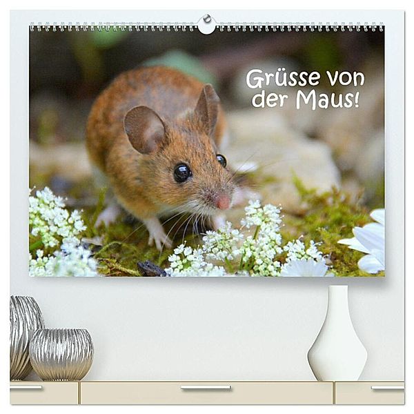Grüsse von der Maus! (hochwertiger Premium Wandkalender 2024 DIN A2 quer), Kunstdruck in Hochglanz, Gugigei