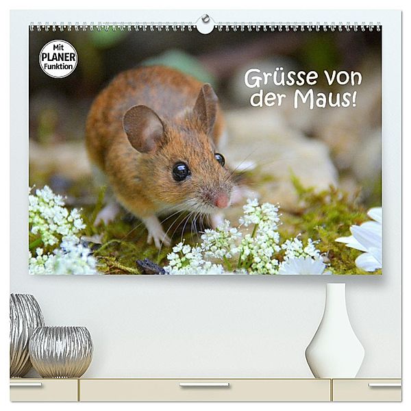 Grüsse von der Maus! (hochwertiger Premium Wandkalender 2025 DIN A2 quer), Kunstdruck in Hochglanz, Calvendo, Gugigei