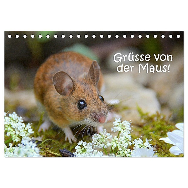 Grüsse von der Maus! (Tischkalender 2024 DIN A5 quer), CALVENDO Monatskalender, Gugigei