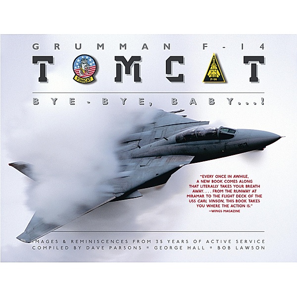 Grumman F-14 Tomcat, Dave Parsons, George Hall, Bob Lawson
