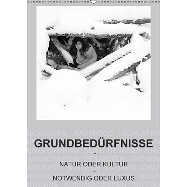 GRUNDBEDÜRFNISSE - NATUR ODER KULTUR - NOTWENDIG ODER LUXUS (Wandkalender 2017 DIN A2 hoch), fru.ch