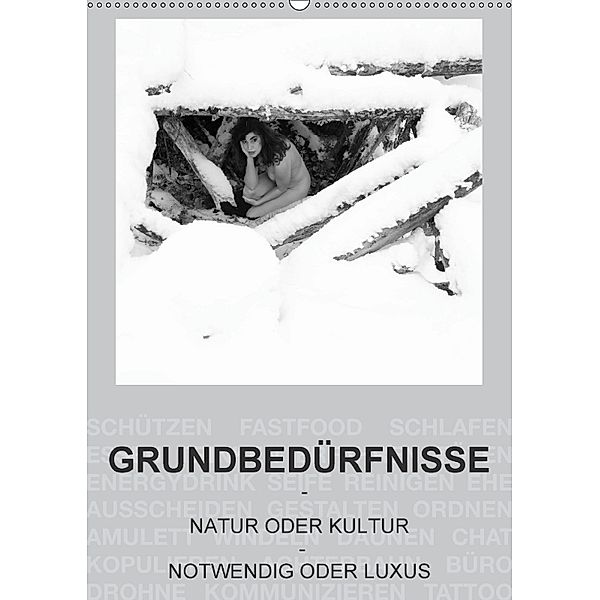 GRUNDBEDÜRFNISSE - NATUR ODER KULTUR - NOTWENDIG ODER LUXUS (Wandkalender 2018 DIN A2 hoch), Beat Frutiger