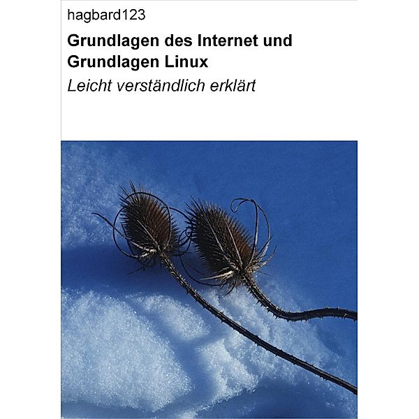 Grundlagen des Internet und Grundlagen Linux, Null Hagbard123