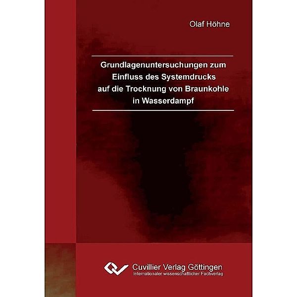 Grundlagenuntersuchungen zum Einfluss des Systemdrucks auf die Trocknung von Braunkohle in Wasserdampf