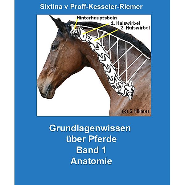 Grundlagenwissen über Pferde, Sixtina v. Proff-Kesseler-Riemer