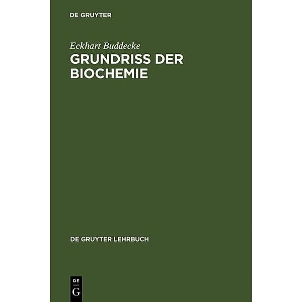 Grundriss der Biochemie / De Gruyter Lehrbuch, Eckhart Buddecke