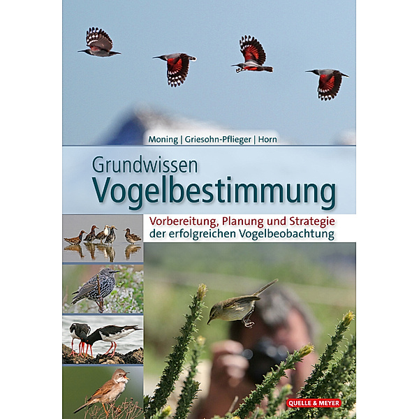 Grundwissen Vogelbestimmung, Christoph Moning, Thomas Griesohn-Pflieger, Michael Horn
