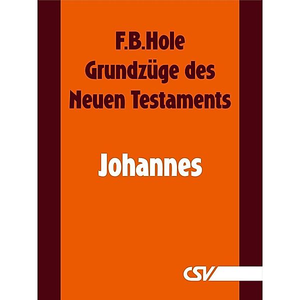 Grundzüge des Neuen Testaments - Johannes, F. B. Hole