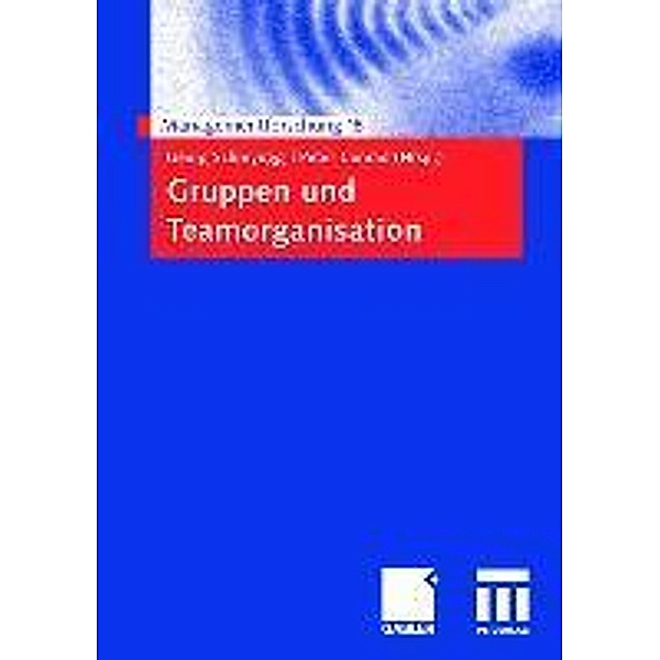 Gruppen und Teamorganisation / Managementforschung Bd.18