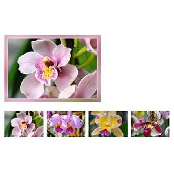 Grußkartenkassette Orchideen
