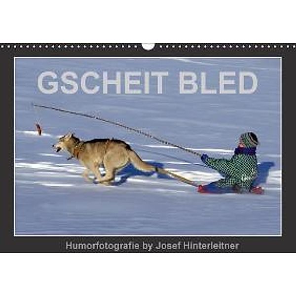 GSCHEIT BLED - Humorfotografie (Wandkalender 2016 DIN A3 quer), Josef Hinterleitner