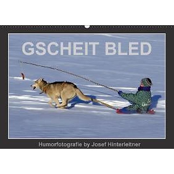 GSCHEIT BLED - Humorfotografie (Wandkalender 2016 DIN A2 quer), Josef Hinterleitner