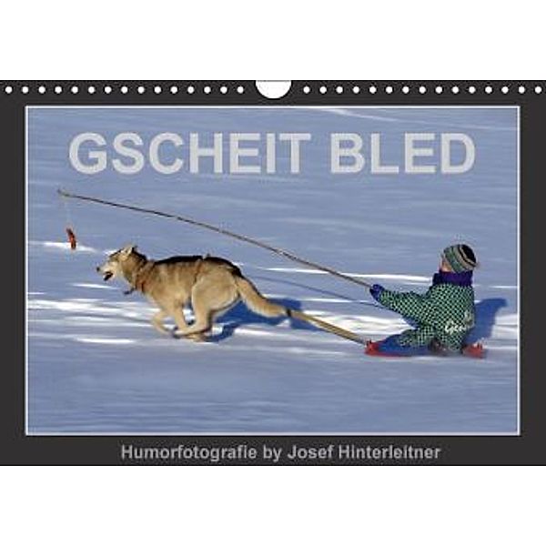 GSCHEIT BLED - Humorfotografie (Wandkalender 2016 DIN A4 quer), Josef Hinterleitner