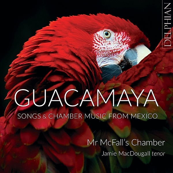 Guacamaya, Jamie Macdougall, Mr McFall's Chamber