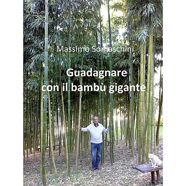 Guadagnare con il bambù gigante, Massimo Somaschini