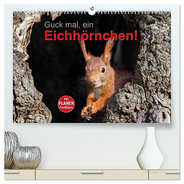 Guck mal, ein Eichhörnchen! (hochwertiger Premium Wandkalender 2024 DIN A2 quer), Kunstdruck in Hochglanz, Margret Brackhan