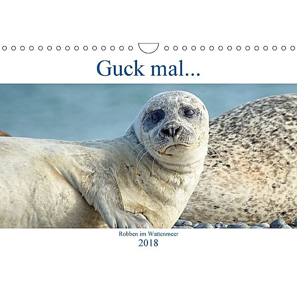 Guck mal ... Robben im Wattenmeer (Wandkalender 2018 DIN A4 quer), Martina Fornal