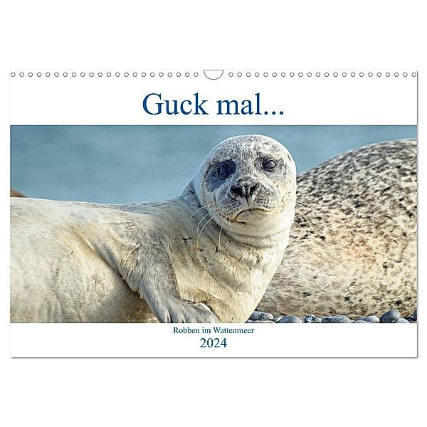 Guck mal ... Robben im Wattenmeer (Wandkalender 2024 DIN A3 quer), CALVENDO Monatskalender, Martina Fornal