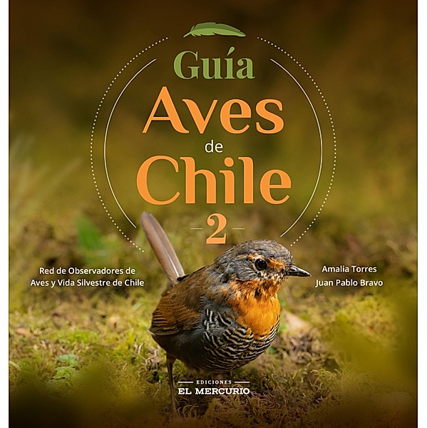 Guía aves de Chile 2, Amalia Torres, Juan Pablo Bravo