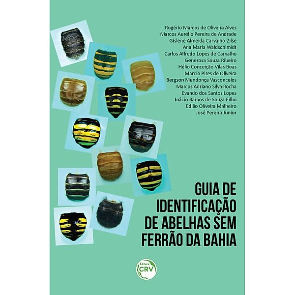 Guia de identificação de abelhas sem ferrão da Bahia, Rogério Marcos de Oliveira Alves, Marcos Aurélio Pereira de Andrade, Gislene Almeida Carvalho