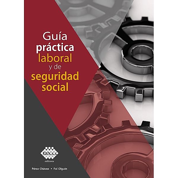 Guía práctica laboral y de seguridad social 2020, José Chávez Pérez, Raymundo Fol Olguín