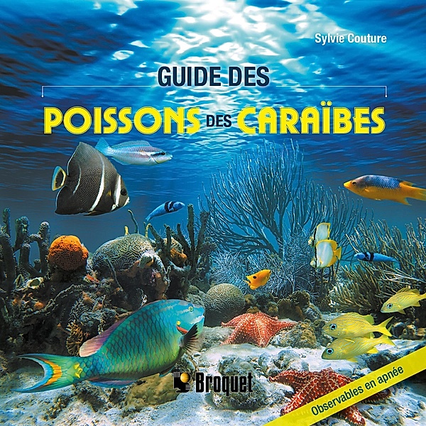 Guide des poissons des Caraïbes, Couture Sylvie Couture