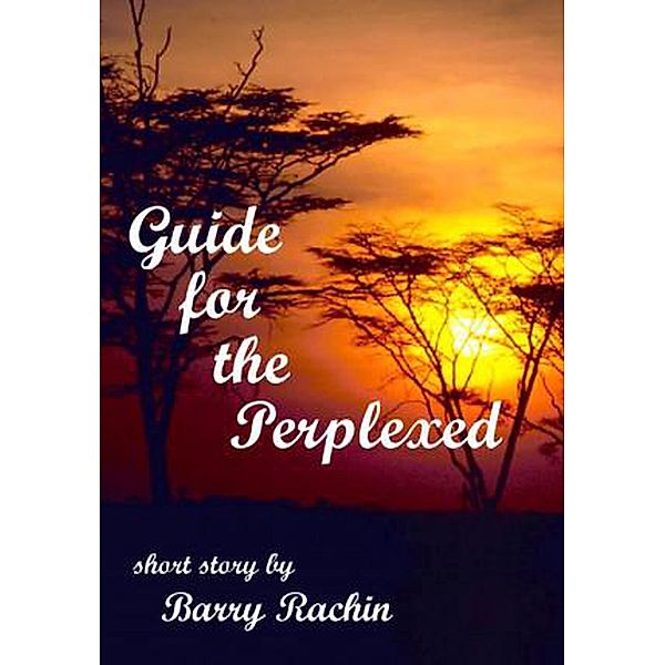 Guide for the Perplexed, Barry Rachin