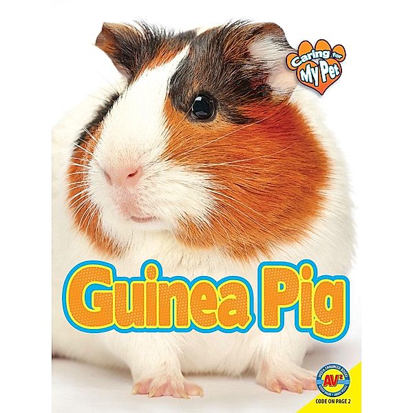Guinea Pig, Jill Foran