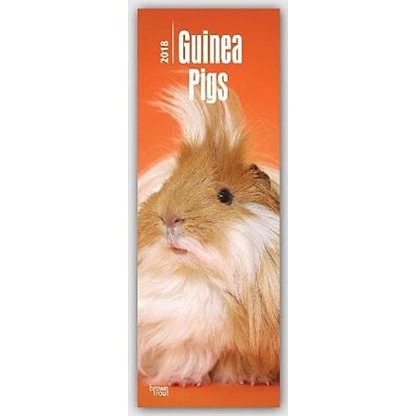 Guinea Pigs 2018, BrownTrout Publisher