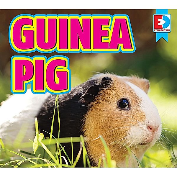 Guinea Pigs, Renae Gilles
