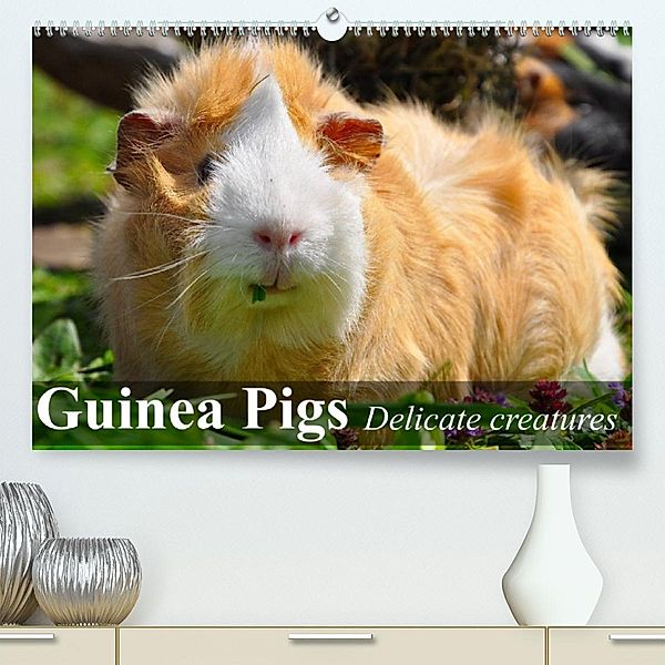 Guinea Pigs Delicate creatures (Premium, hochwertiger DIN A2 Wandkalender 2023, Kunstdruck in Hochglanz), Elisabeth Stanzer