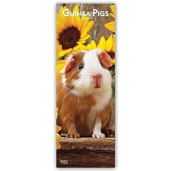 Guinea Pigs - Meerschweinchen 2021, BrownTrout Publishers